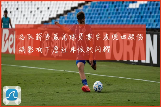 各队薪资最高球员赛季表现回顾伤病影响下詹杜库依然闪耀